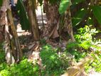 Land for Sale Galle