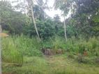 Land | for Sale Galle - Property ID L3024