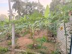 Land for sale Galle, Walahanduwa (ගාල්ල, වලහන්දූව)