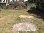 Land For Sale in Gampaha