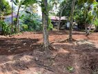 Land for Sale Gampaha Balummahara