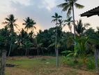 Land for Sale Gampaha Bemmulla