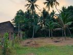 Land For Sale Gampaha Bemmulla