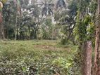 Land for Sale Gampaha City