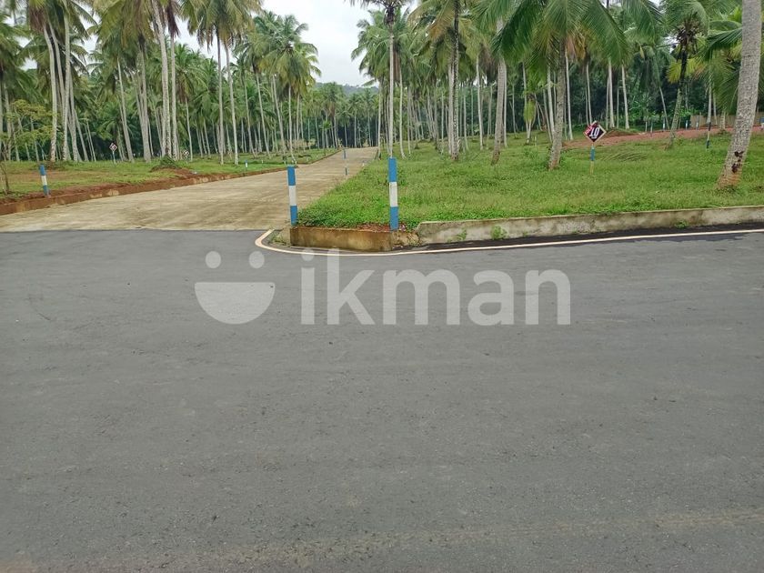 Land for Sale Gampaha ikman