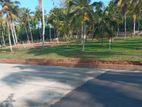 Land for Sale Gampaha