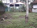 Land For Sale Gampaha