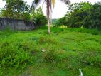 Land for Sale Gampaha