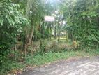 Land For Sale Gampaha