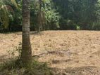 Land For Sale Gampaha