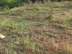 Land for Sale Gampaha