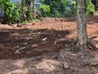 Land For Sale Gampaha