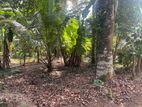 Land For Sale Gampaha
