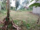 Land For Sale Gampaha