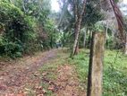 land for sale gampaha