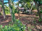 Land For Sale Gampaha