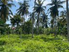 Land for Sale Gampaha