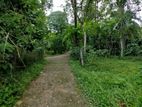 Land for Sale Gampaha