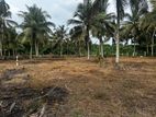 Land For Sale Gampaha