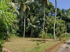Land For Sale Gampaha