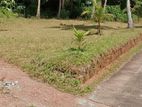 Land For Sale Gampaha