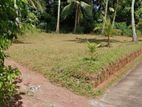 Land For Sale Gampaha
