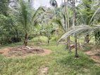 Land For Sale Gampaha