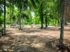 Land for Sale Gampaha Kiridiwela