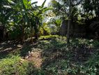 Land for Sale Gampaha Town Limit Yakkala