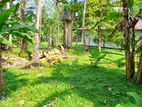 Land for Sale Gampaha Yakkala