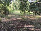 land for sale gampaha yakkala road