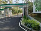 Land for sale Gamphaha