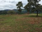 Land For Sale - Gampola