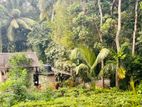 Land for Sale Gampola