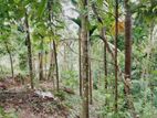 Land For Sale - Gampola