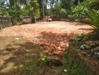 Land for Sale Gampola