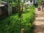 Land for Sale Gampola