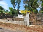Land For Sale - Ganemulla