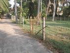 Land For Sale Ganemulla (Kadawatha)