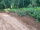 Land for Sale Gangoda Pilimathalawa