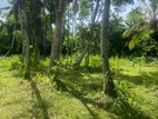 Land For Sale Gangodagama Hakmana