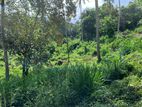 LAND FOR SALE GELIOYA