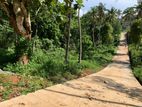 Land for Sale Gelioya
