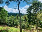 Land for Sale Gelioya