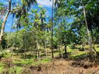 Land for Sale Gelioya