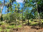 land for sale gelioya