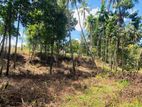 land for sale gelioya