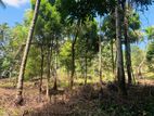 Land for Sale Gelioya