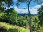 Land for Sale Gelioya