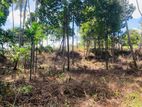 Land for Sale Gelioya